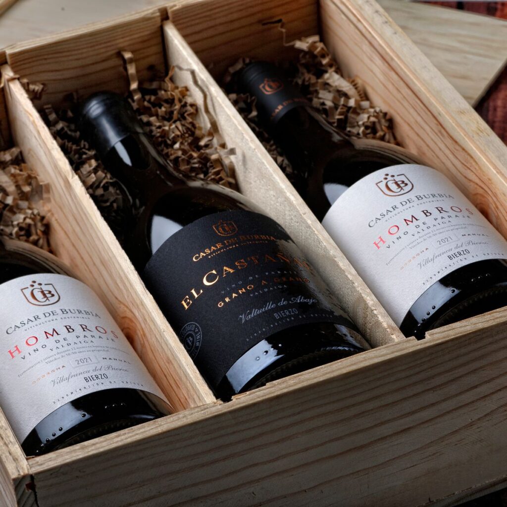 Colección Paraje Valdaiga Casar de Burbia