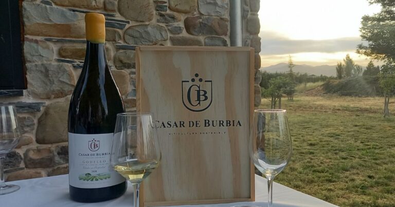 Los mejores vinos Godello para amantes de la sedosidad y la mineralidad