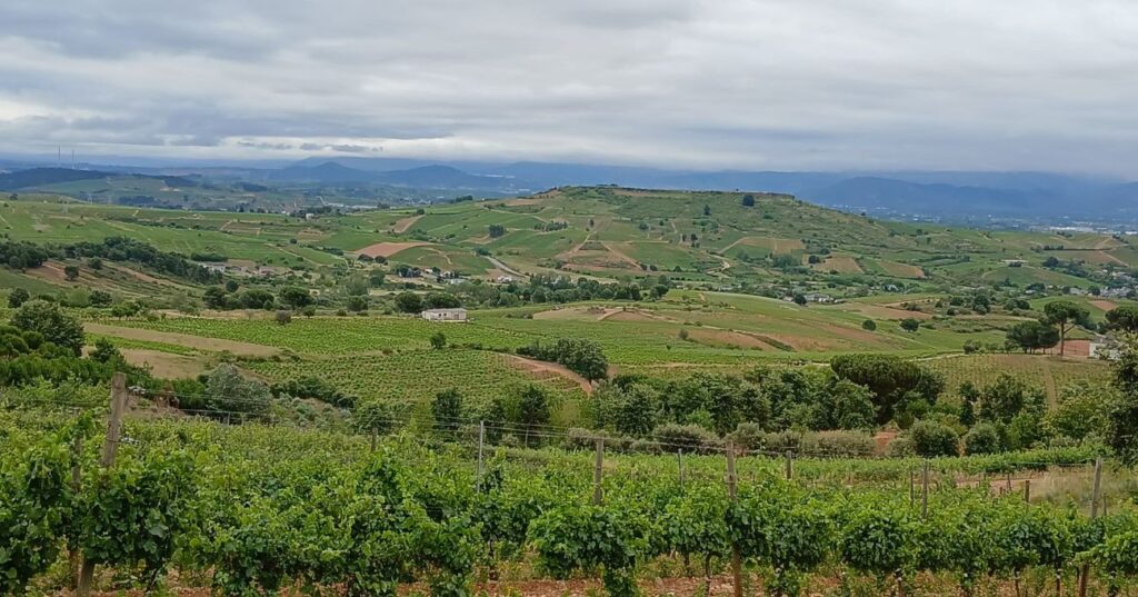 Valtuille de Arriba. El origen de los grandes vinos del Bierzo