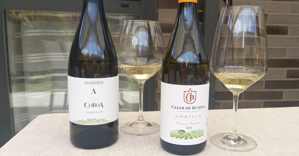 Vinos Godello Bierzo vs Valdeorras - Cata comparativa Casar de Burbia Godello y A Coroa Godello