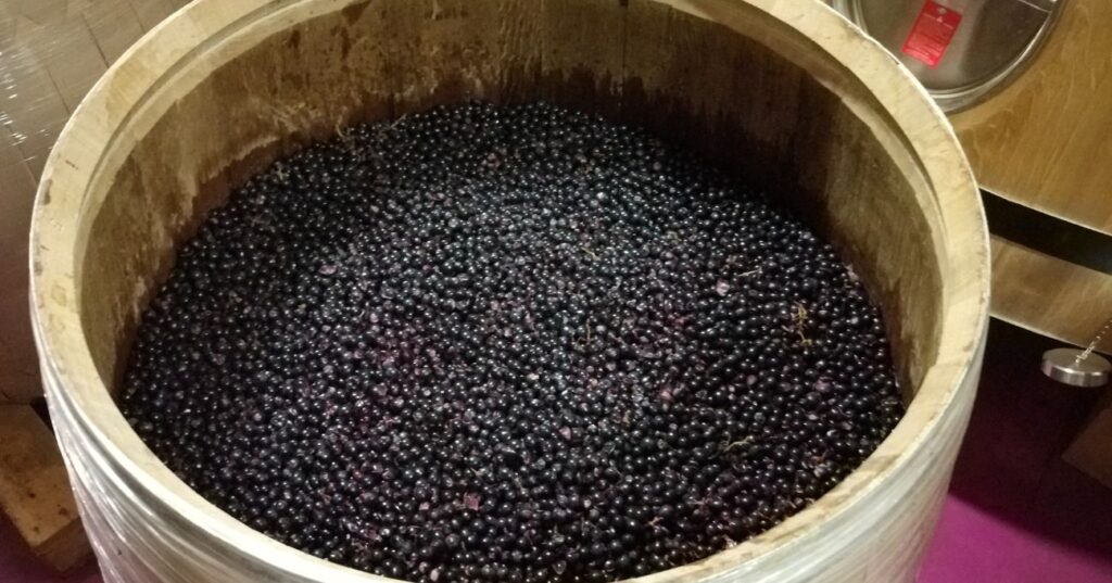 Vinos sin raspón en el Bierzo